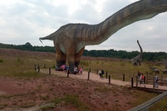 Spotkanie z dinozaurami